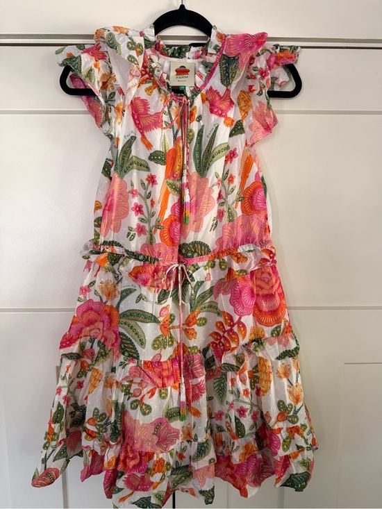 FARM Rio Dresses & Skirts - Farm Rio Floral Mini Dress XS
⭐️flaws
